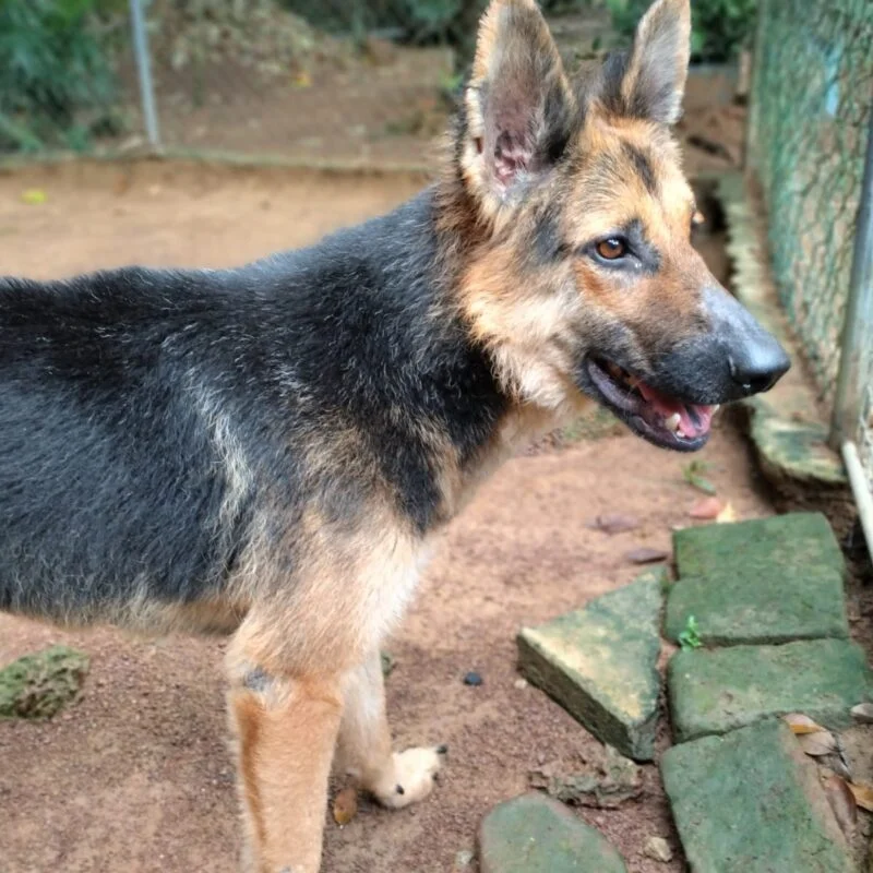 Leslie after recovering his coat and health