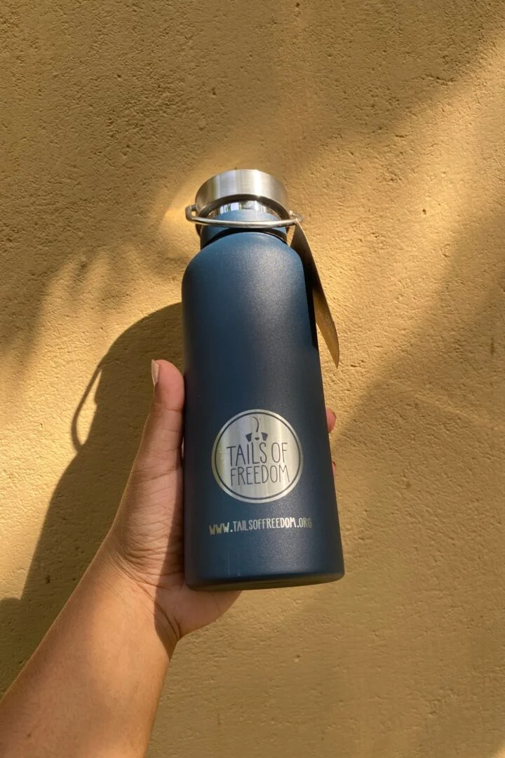 ToF Insulated Flask