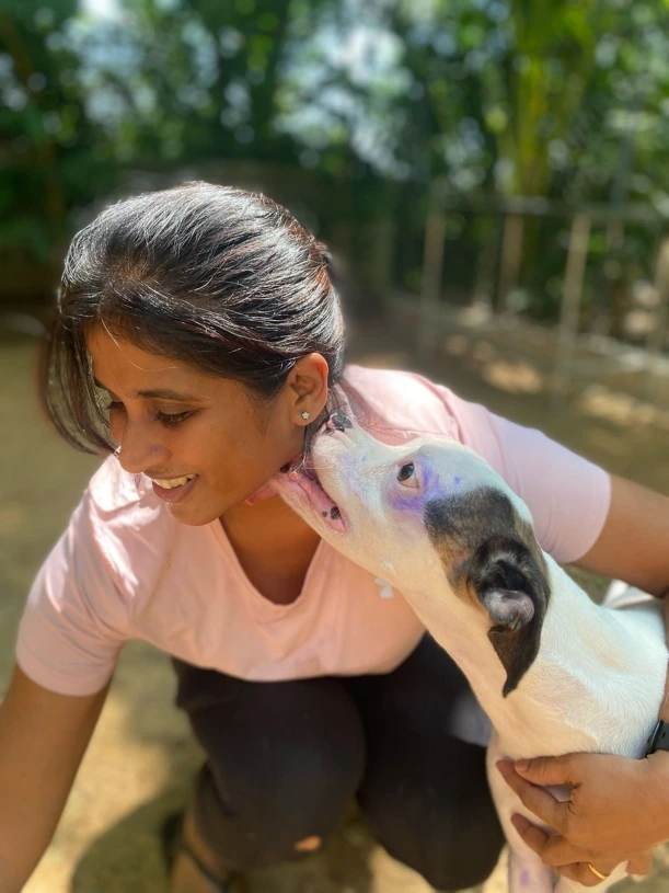 A rescued dog in the care of Tails of Freedom